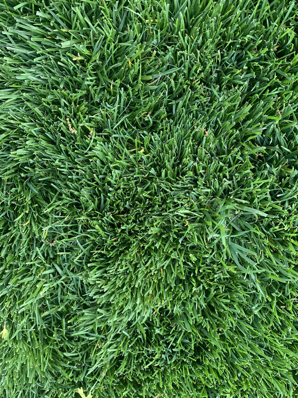 90886DC4-3FB9-4B66-B83A-0184605715F0