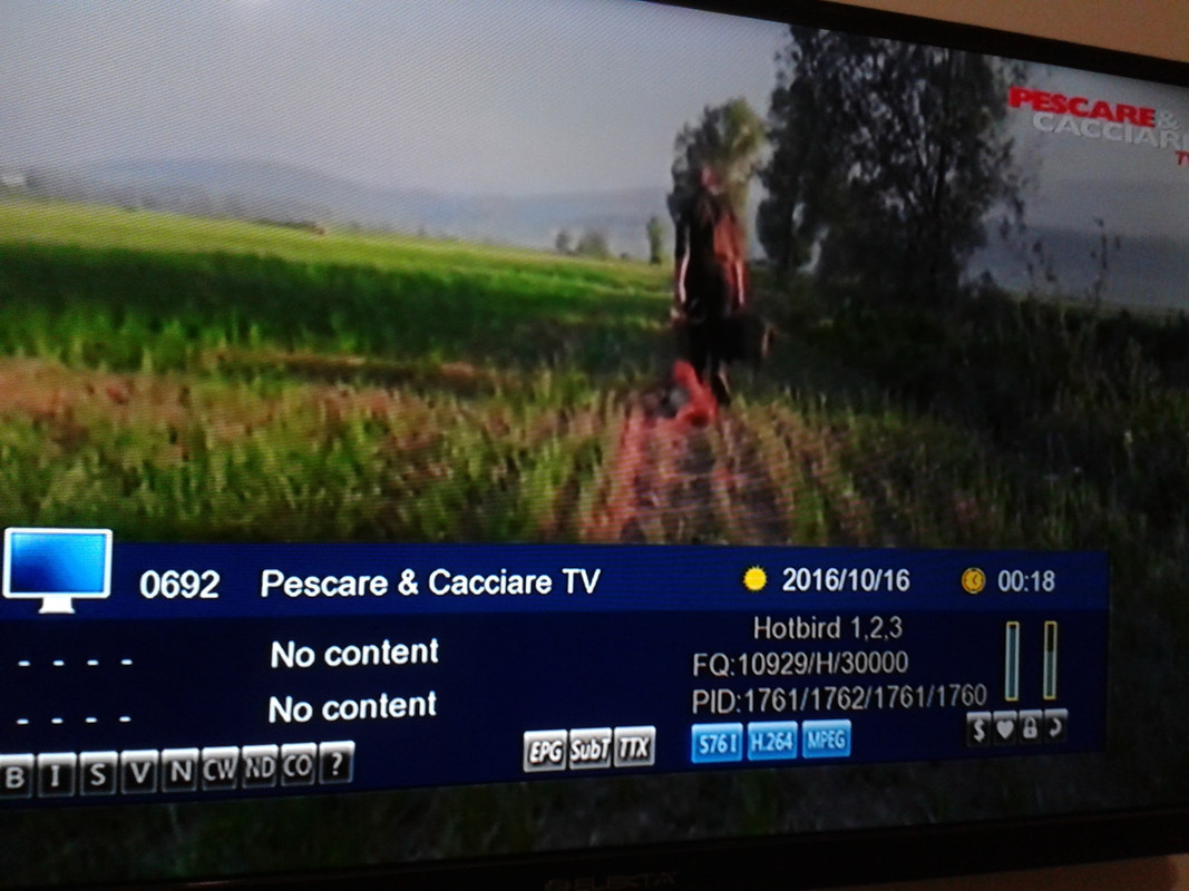 pescare