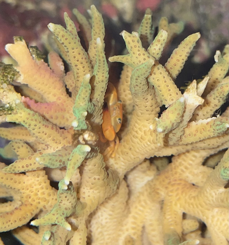 59E9B247-468C-40EE-A09E-E5970DB17234