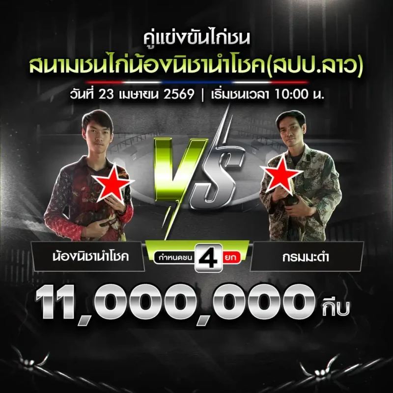 น้องนิชานำโชค vs กรมมะดำ สนามชนไก่น้องนิชานำโชค 23 เมษายน 2569
