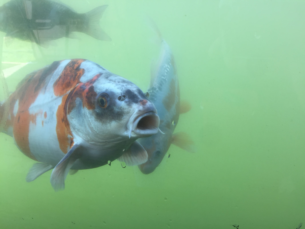 47943135-9BD6-4D00-B02B-E2E142C8078B