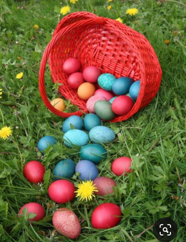 Screenshot_20230416_004551_Pinterest