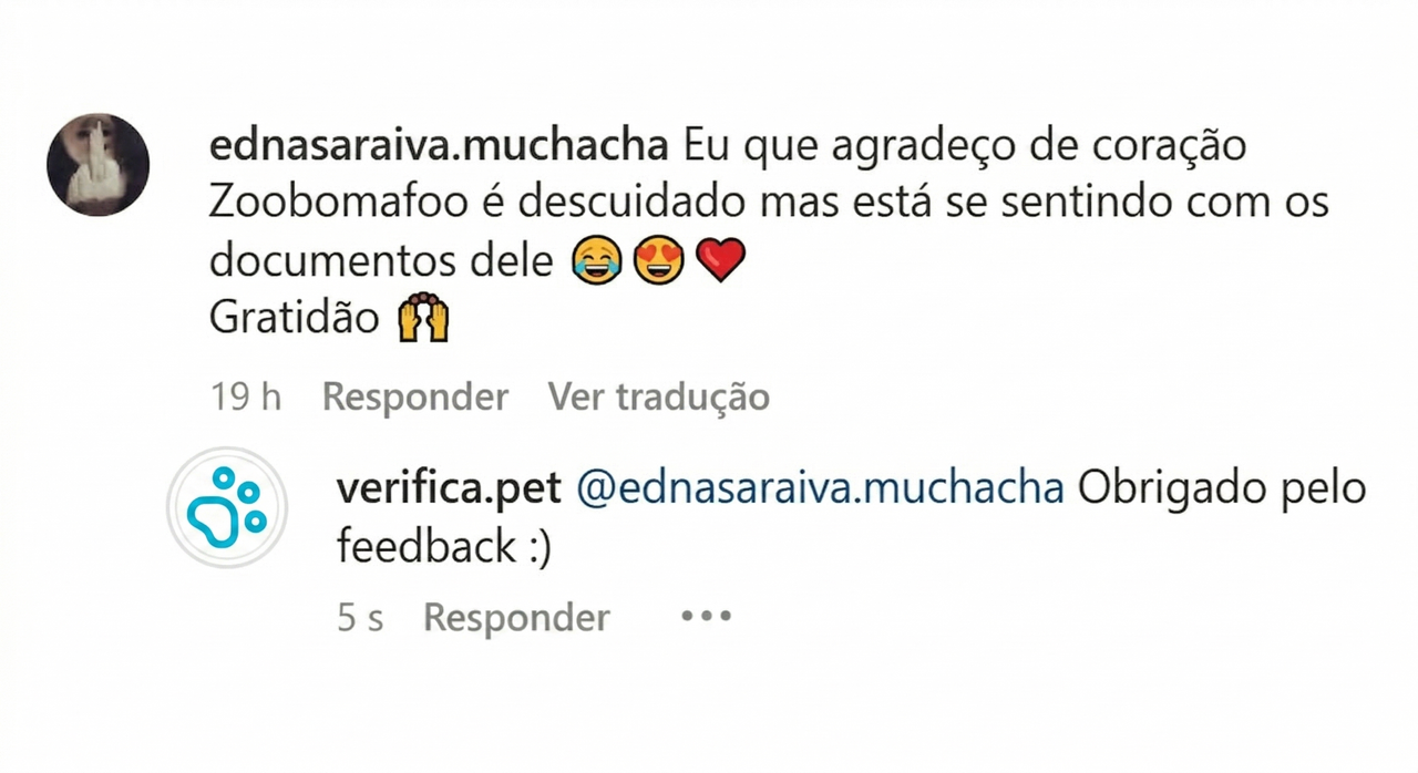Feedback Cliente 1