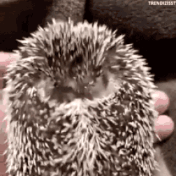 tired-sleepy.gif