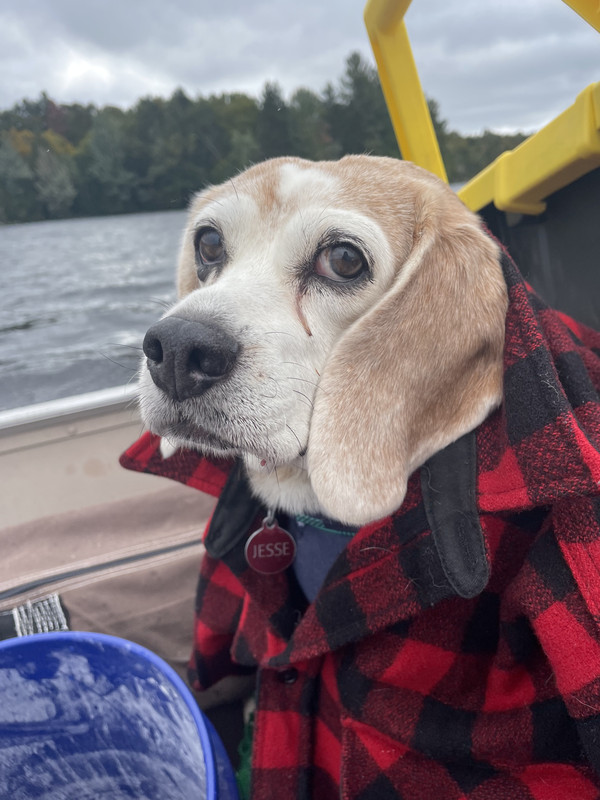 722537EF-80BA-459E-9DA1-761F4BCACD36