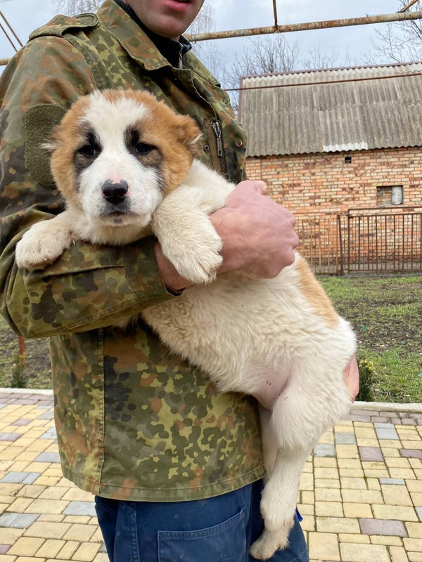 803B8BE8-431B-43D9-89EF-8D9CE487B147