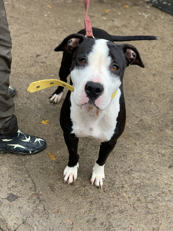 4932087A-B8F9-4CCE-AFF3-CBA95B9ACA5E