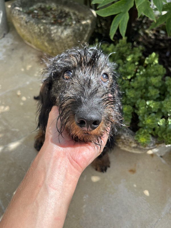 58F6BE1D-6BC6-43FB-9059-8EF081EDECD7