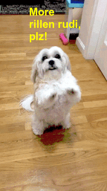 rillen-rudi-beg.gif