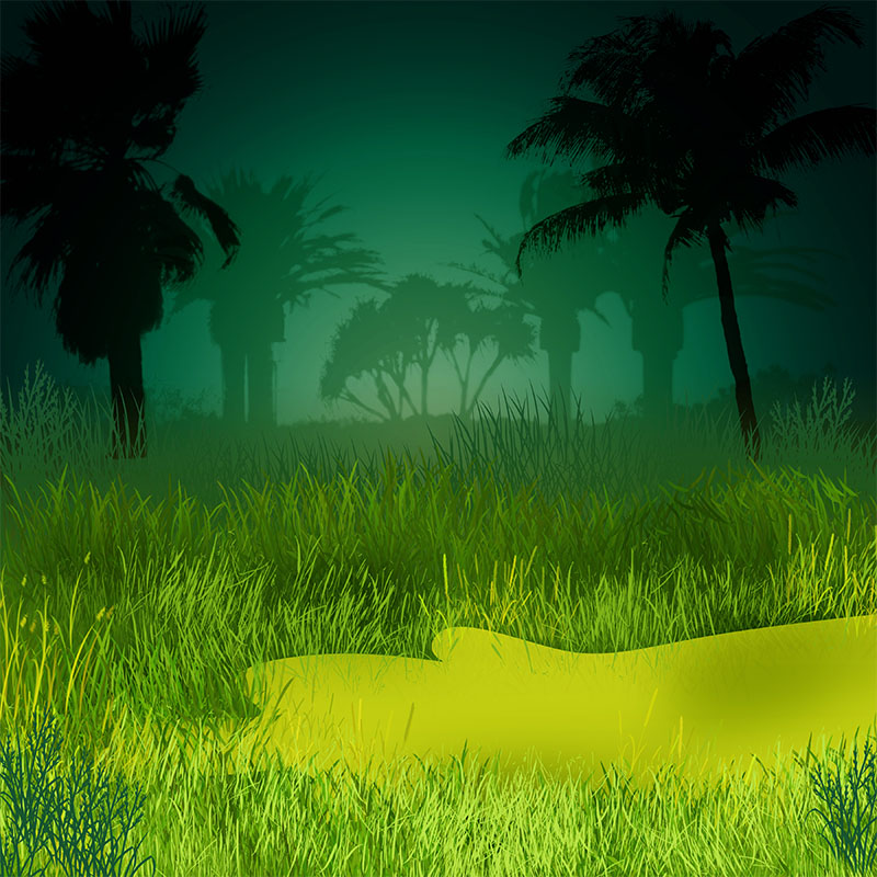 KBK_AdventureIsland (9)