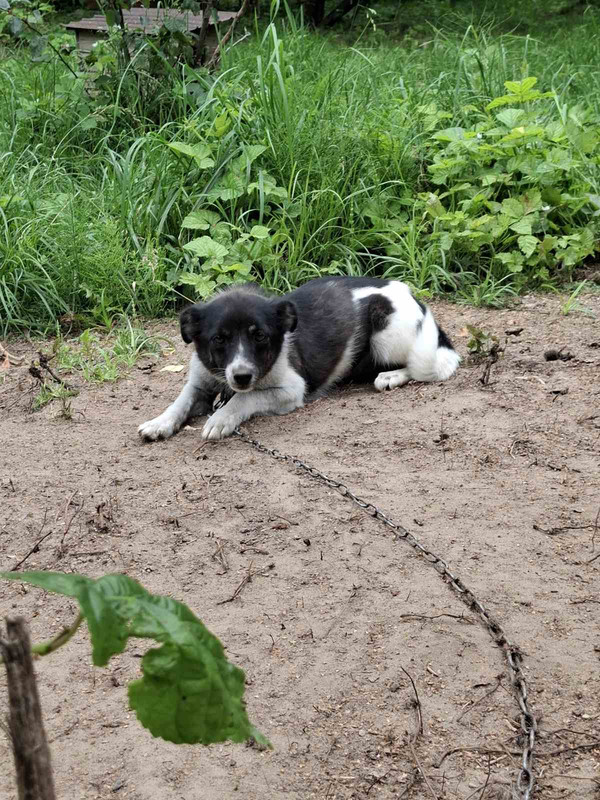 IMG-c1a241fcefeac697d911f9367f8057cb-V