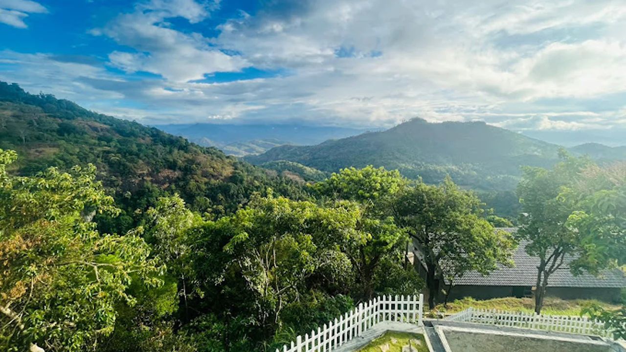 WhatsApp Image 2025-10-04 at 01.15.01_8177cfb9