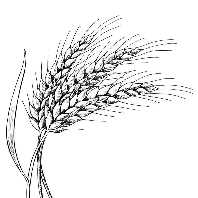 Decorative wheat