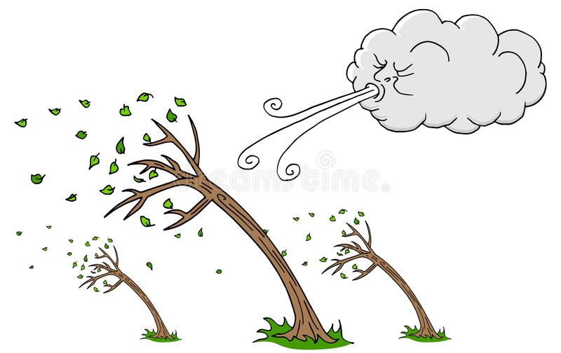 windy-cloud-blowing-tree