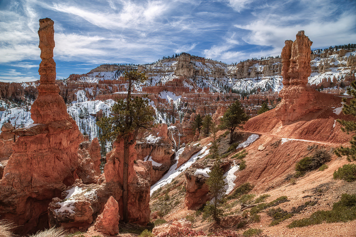 IMAGE: https://i.postimg.cc/tTdXGRh6/Bryce-Final.jpg