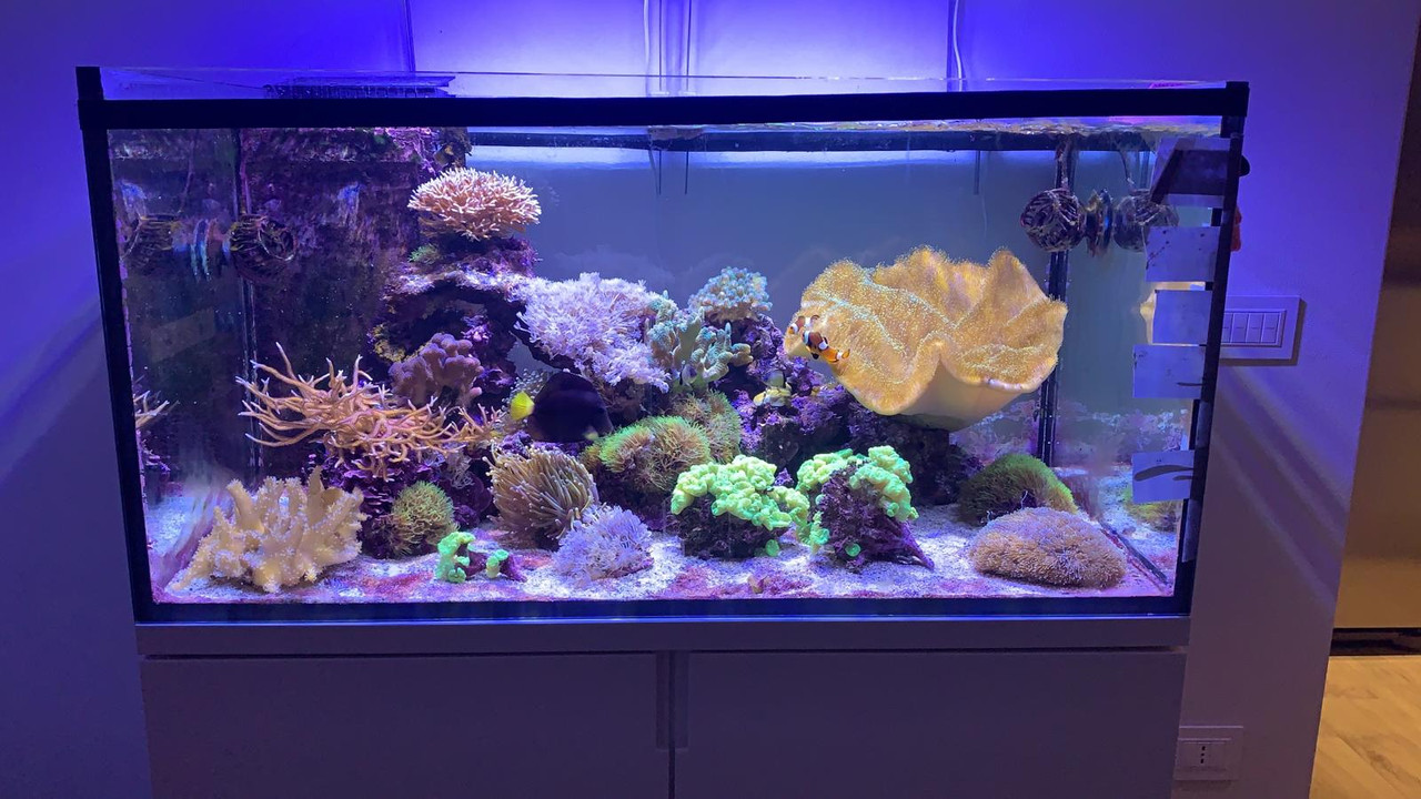 2386F03A-24BF-4065-BC79-220730311B38