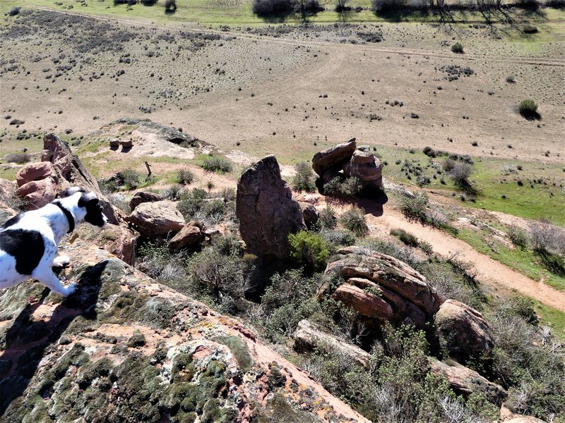 YACIMIENTO ARQUEOLOGICO DE TIERMES-16-2-2020 - Soria y sus pueblos-2010/2013/2020 (53)