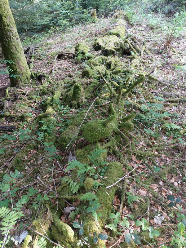 FB08F984-A223-4B4C-9255-32B32D61CA6C