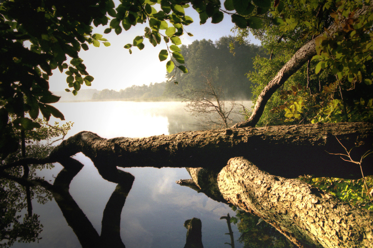 Schaalsee-im-Morgendunst Озеро Шальзе сокровище Шлезвиг-Гольштейна