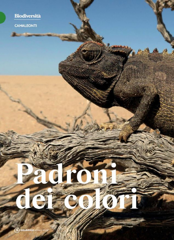 melaverde Apr 2023 (3)