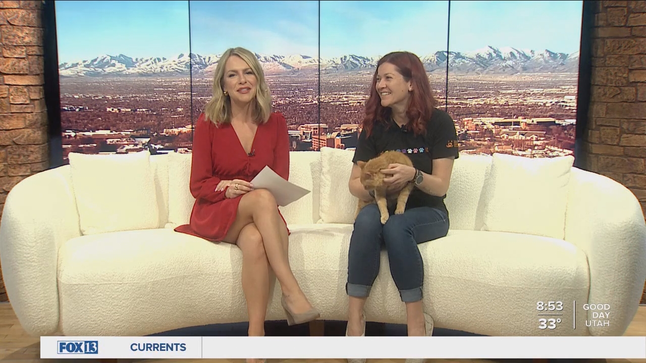 03.10 - 14.00.00 - FOX13 News  Good Day Utah 8AM  ᴺᵉʷ. Utah news, wea....ts_snapshot_54.51.826