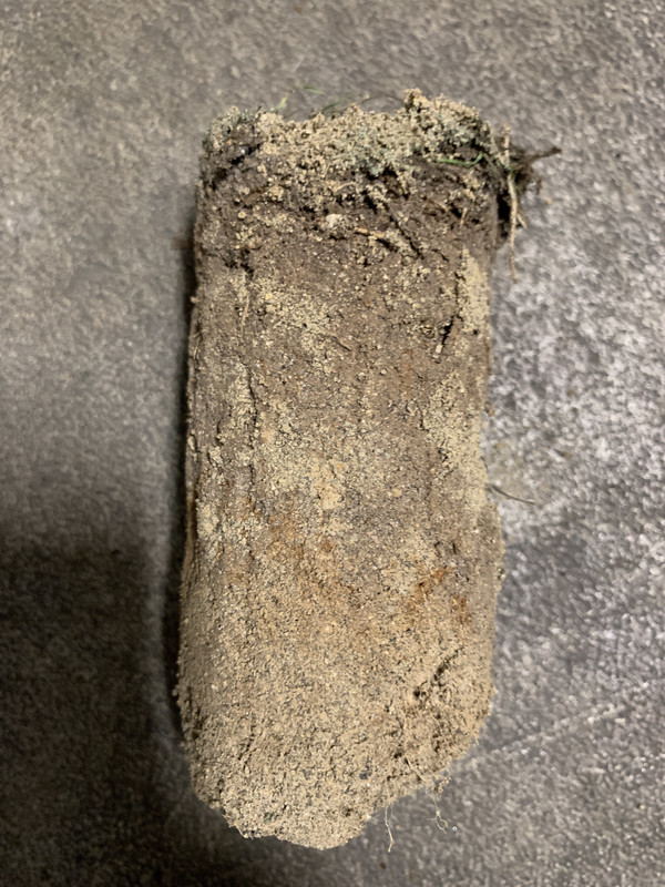 Puddles, puddles, puddles! How can I fix this? Lawn Care Forum