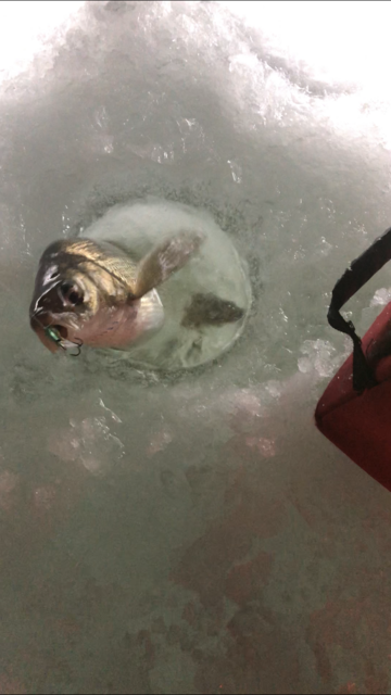 72169616-4A5B-4BFA-BC38-BA940091DB23