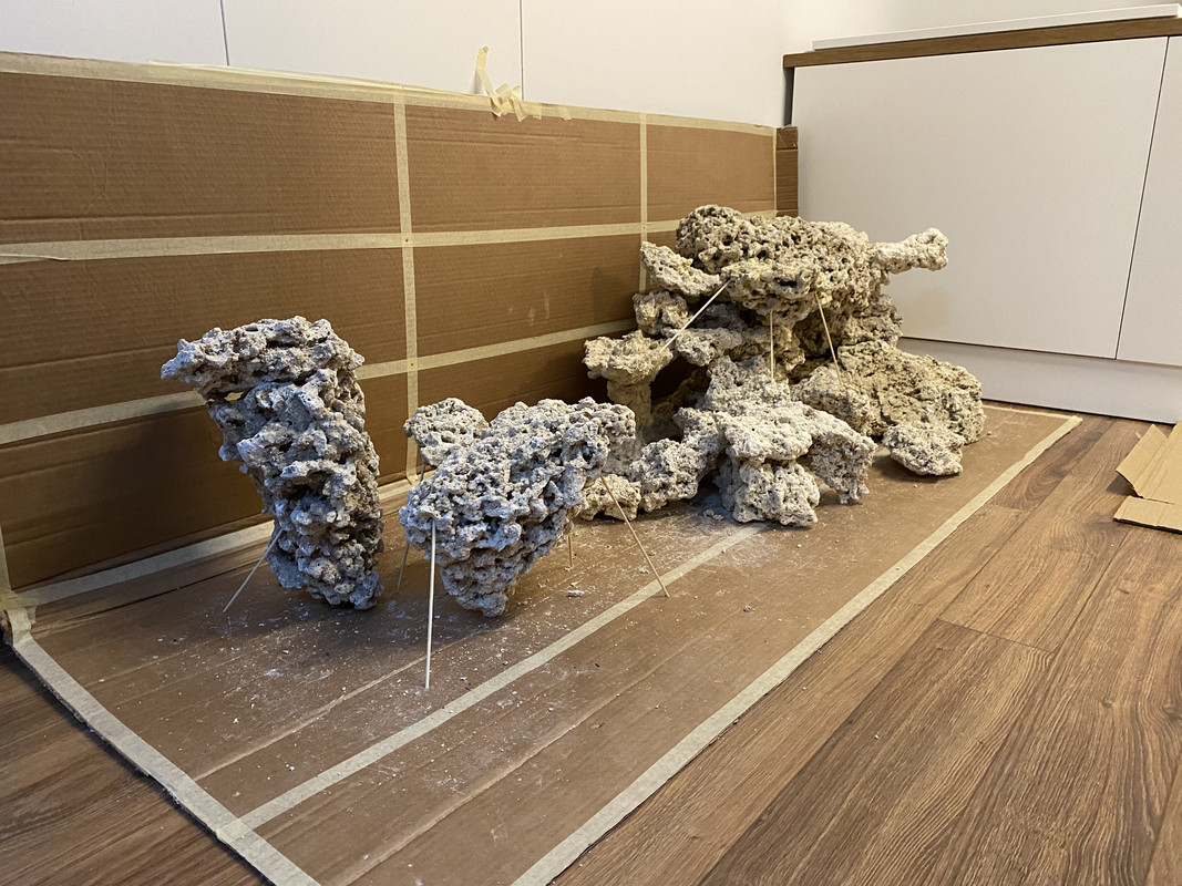 12237A5F-FEDF-4147-A9B3-F883466CA289