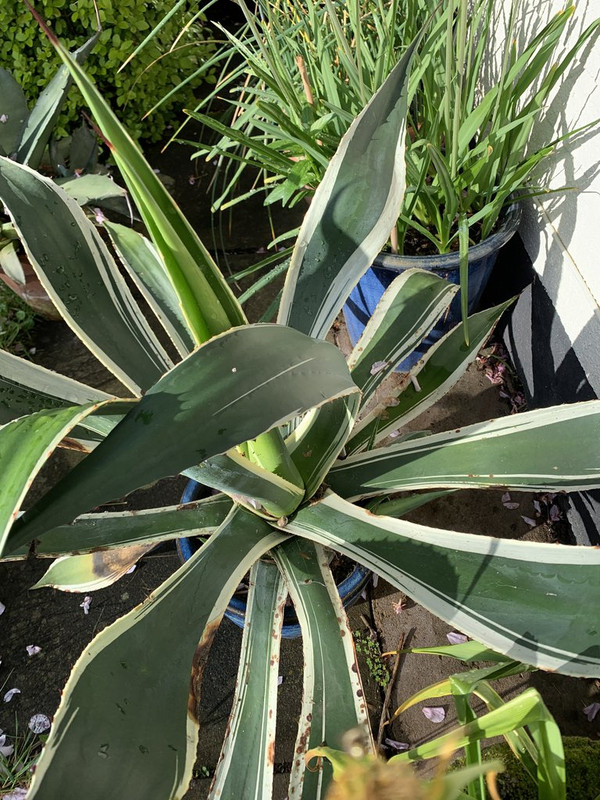 5A943913-62CF-478F-B524-C3A8A8F38B9F