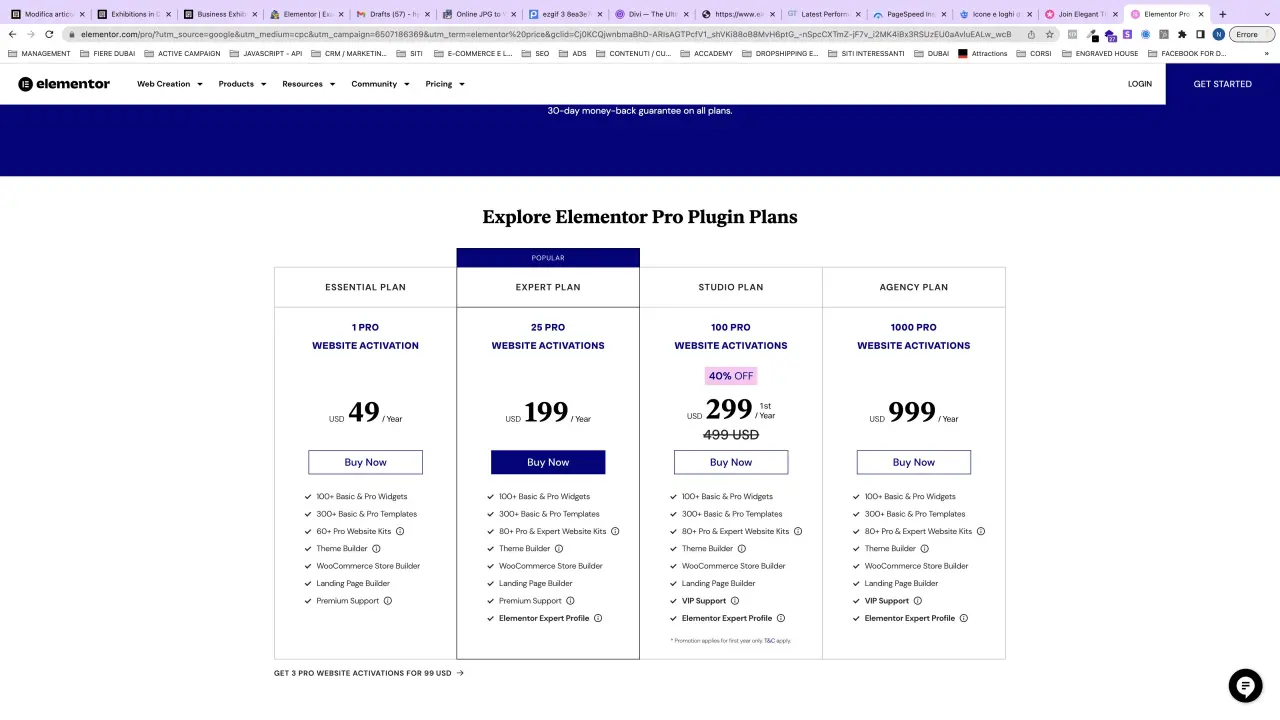 Elemntor Price