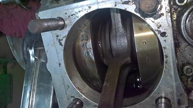 WP_20230323_16_49_30_Pro (Copy)