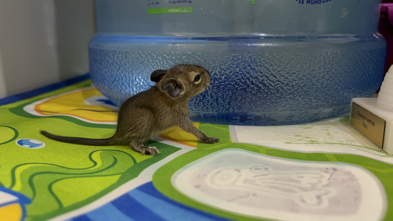 0CD39516-61FE-46BA-B1B9-0A83A2C0B18A