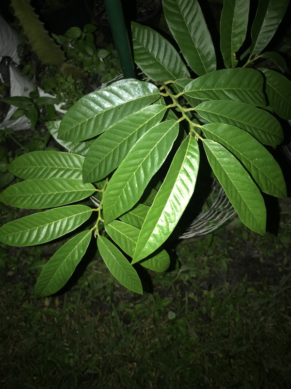 4A17F9B3-1537-44EA-966A-1EFE39F708CD