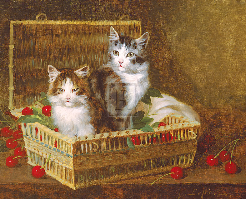 74475940-large-The-Pick-of-the-Basket