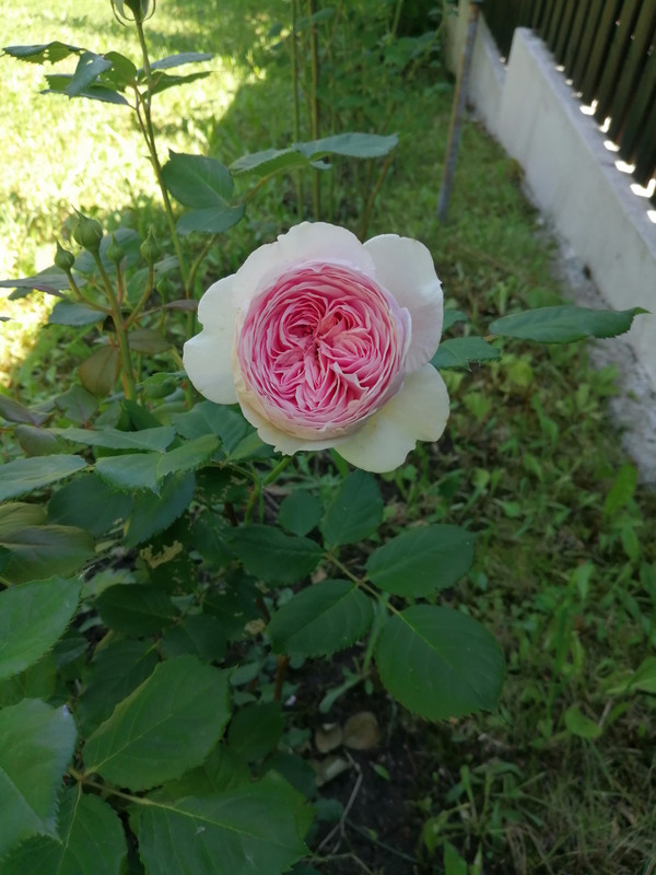 IMG_20220605_114859