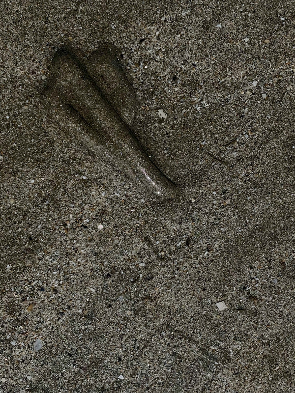 26293DAD-5169-482A-8BBC-C259D6CEDED8