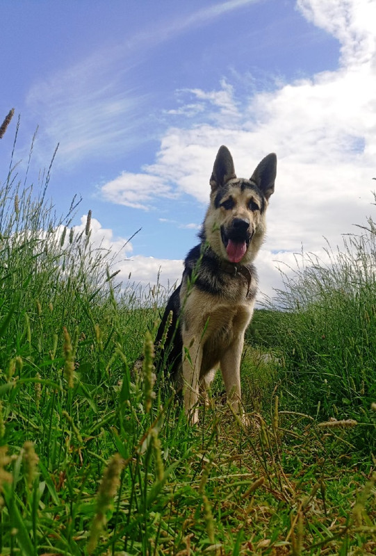 mf6cQ9bGPUHMl6ps_N81uDxUyZe7Q5DHvyY7tCe_dXMiNR_c_7-Mq8kR79O579pB5KmuYw6xJ6fez3j7IQ4DxORr