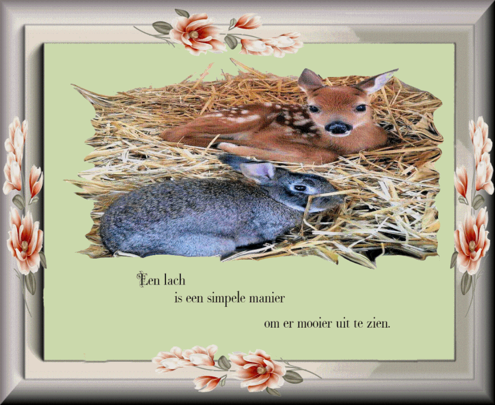 plaatje-25-juni-2021