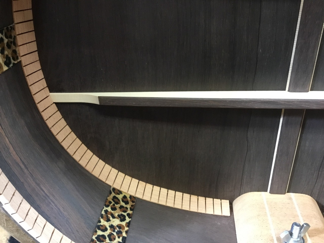 592EA5AF-4FD4-4AC8-AA82-C198EE314935