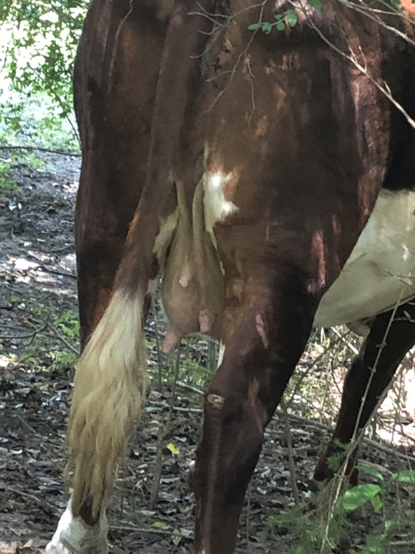 DB02FDB0-85B3-40DA-84EB-32D044159ADC