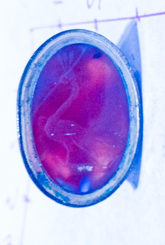 fobseal2BSeRU2