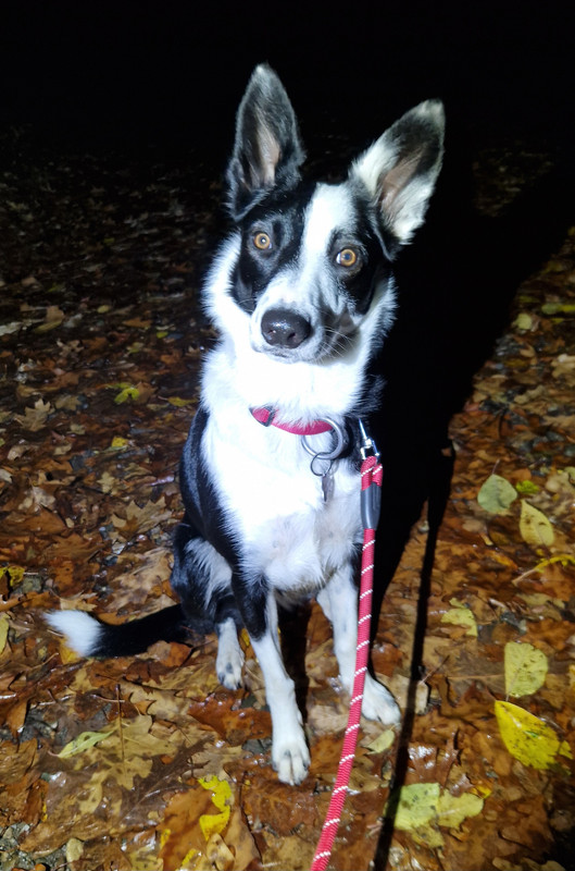 20241113 191655 (original)