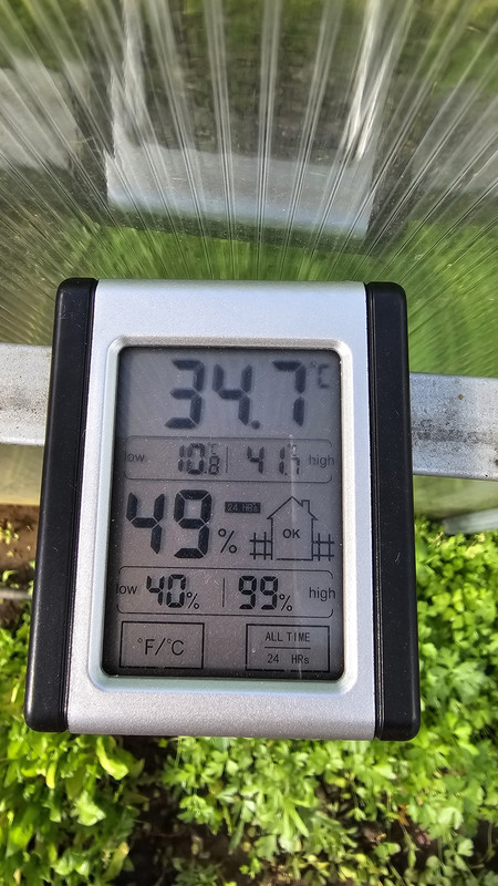 20240424_170551