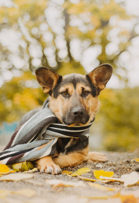 photo_2023-03-17_18-07-35