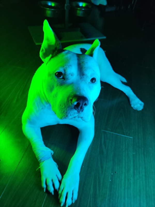 F4DC5E6C-80BA-49BB-AB1C-4301A18D3197