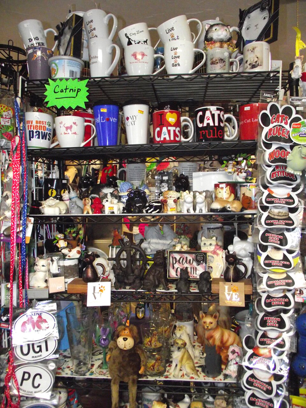cat display