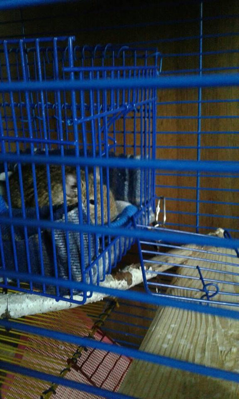 Sonic4months