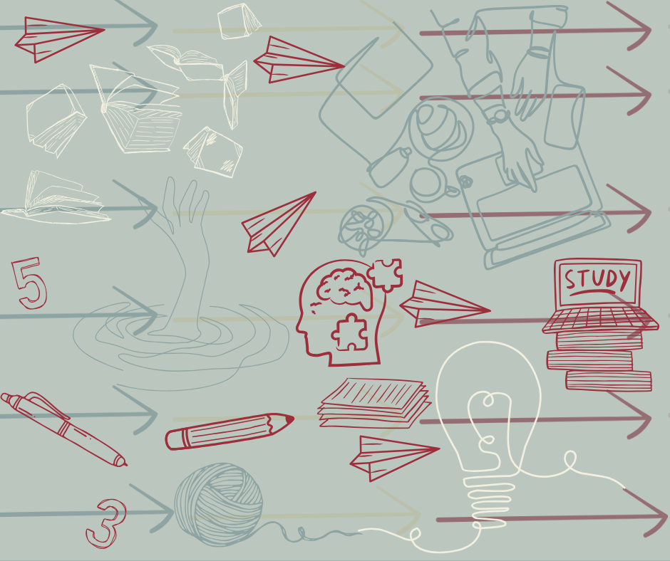 From Classroom to Code: My Unexpected Journey