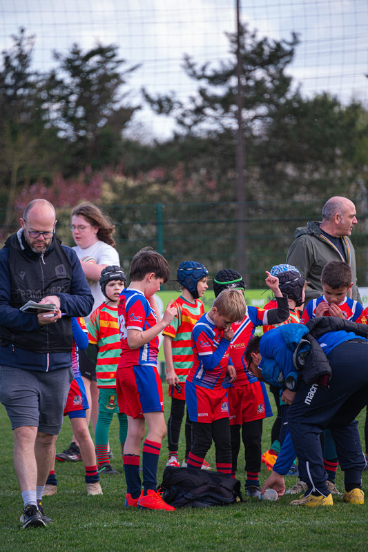 tournoi-de-latlantique-2026-adonis-griffon-95-55181547784-l