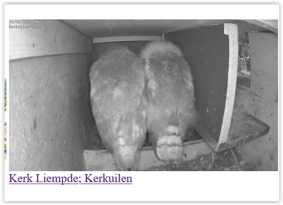 Screen Shot 06-30-21 at 08.42 AM 001